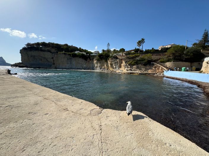 Image No.27-Plot for sale