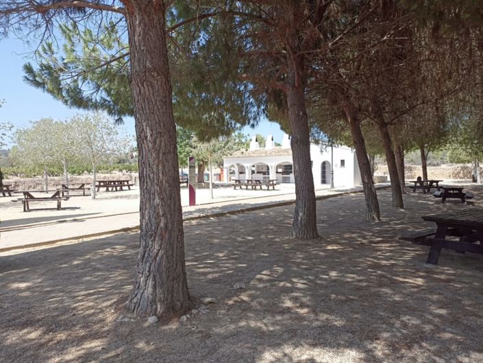 Image No.22-Finca for sale