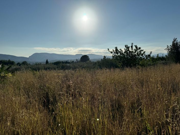 Image No.26-Finca de 3 chambres à vendre à Javea