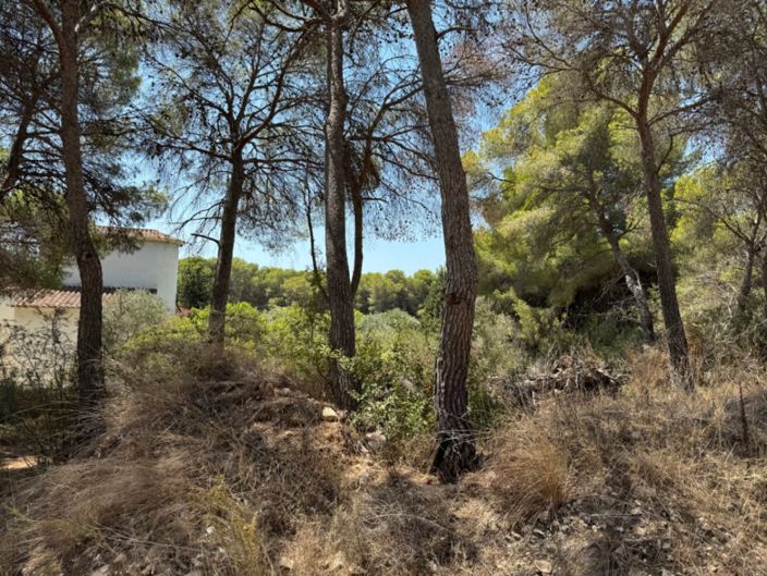 Image No.15-Plot for sale