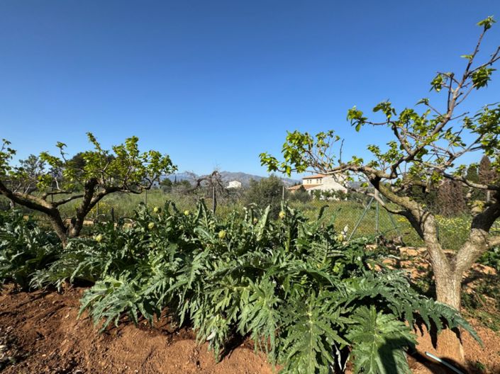 Image No.12-Finca de 4 chambres à vendre à Benissa
