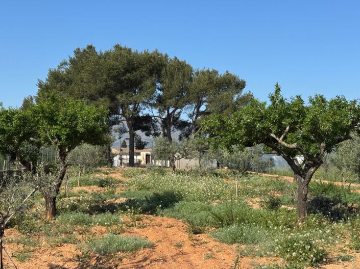 Image No.18-Finca de 4 chambres à vendre à Benissa