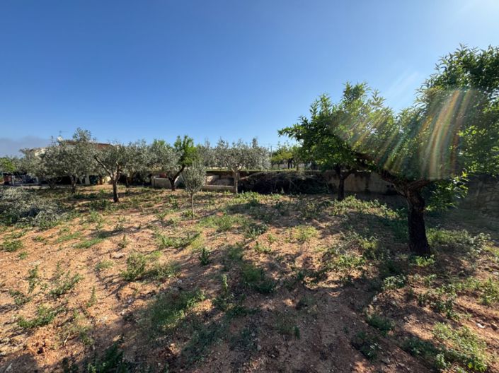 Image No.19-Finca de 4 chambres à vendre à Benissa