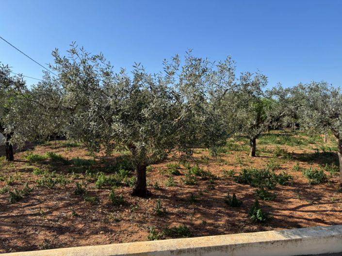 Image No.2-Finca de 4 chambres à vendre à Benissa