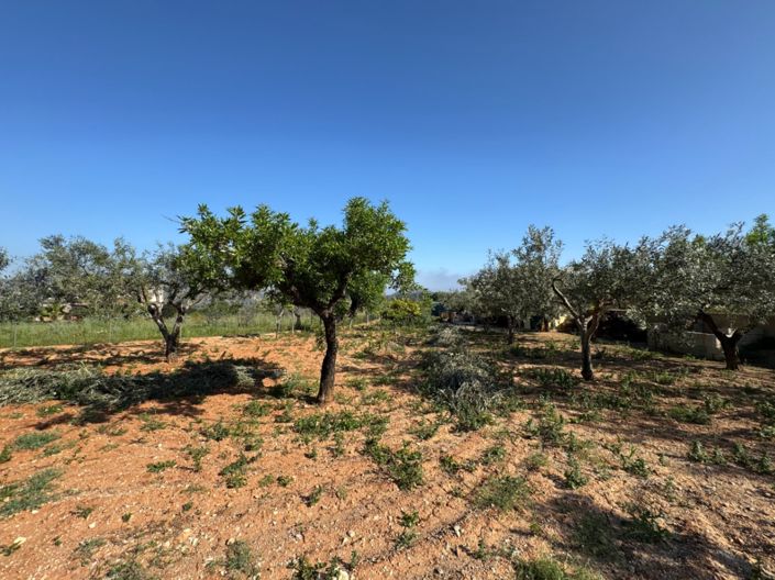 Image No.20-Finca de 4 chambres à vendre à Benissa