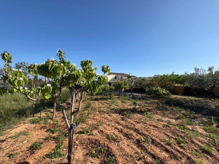 Image No.21-Finca de 4 chambres à vendre à Benissa