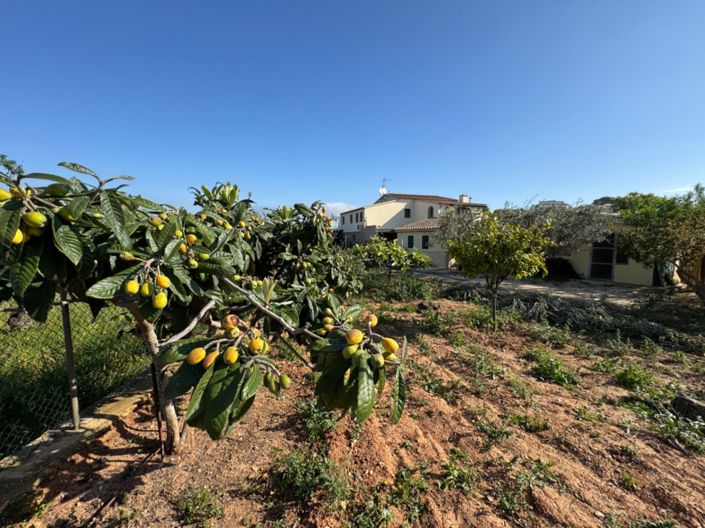 Image No.22-Finca de 4 chambres à vendre à Benissa