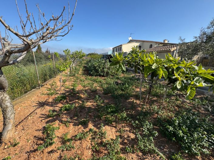 Image No.23-Finca de 4 chambres à vendre à Benissa