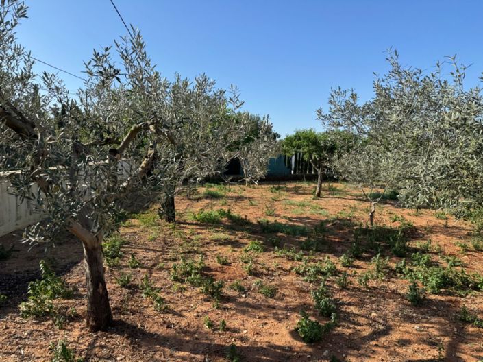 Image No.4-Finca de 4 chambres à vendre à Benissa