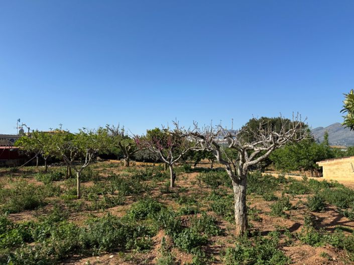 Image No.5-Finca de 4 chambres à vendre à Benissa