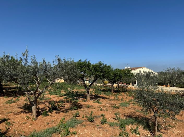 Image No.53-Finca de 4 chambres à vendre à Benissa