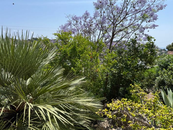 Image No.40-3 Bed Villa for sale