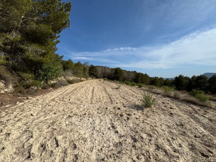 Image No.11-Plot for sale