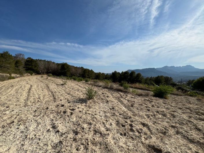 Image No.12-Plot for sale