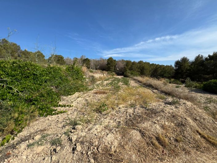 Image No.6-Plot for sale