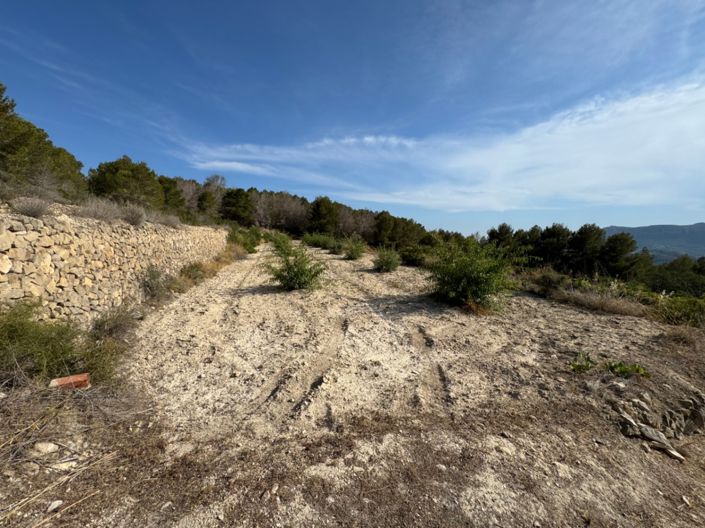 Image No.8-Plot for sale