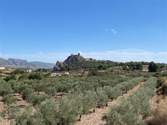 Image No.15-Maison de campagne de 4 chambres à vendre à Sax