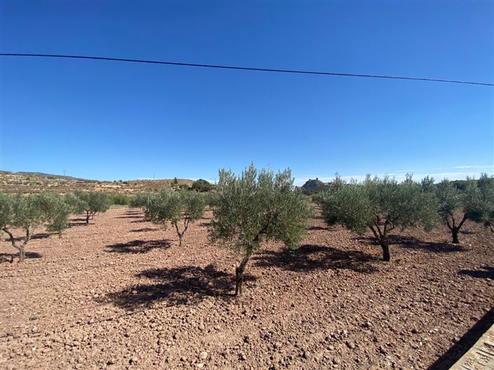 Image No.7-Maison de campagne de 4 chambres à vendre à Sax