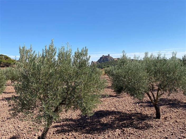 Image No.8-Maison de campagne de 4 chambres à vendre à Sax