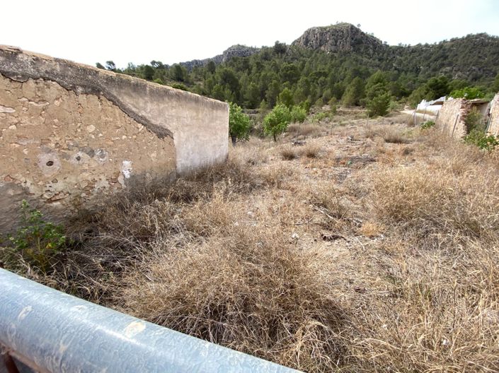 Image No.32-Finca de 4 chambres à vendre à Elda
