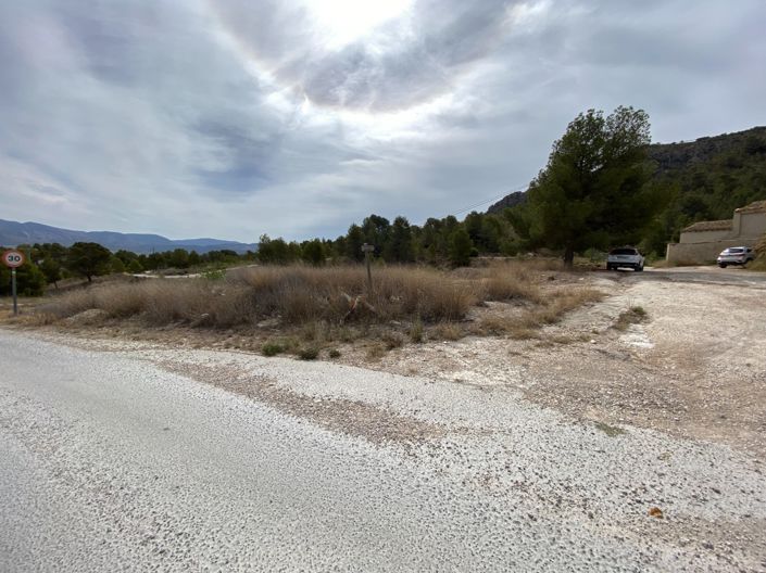 Image No.34-Finca de 4 chambres à vendre à Elda