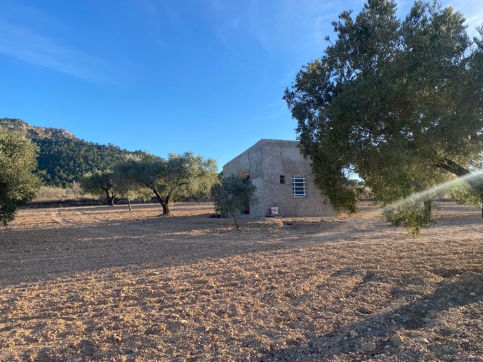 Image No.2-Propriété à vendre à Elda