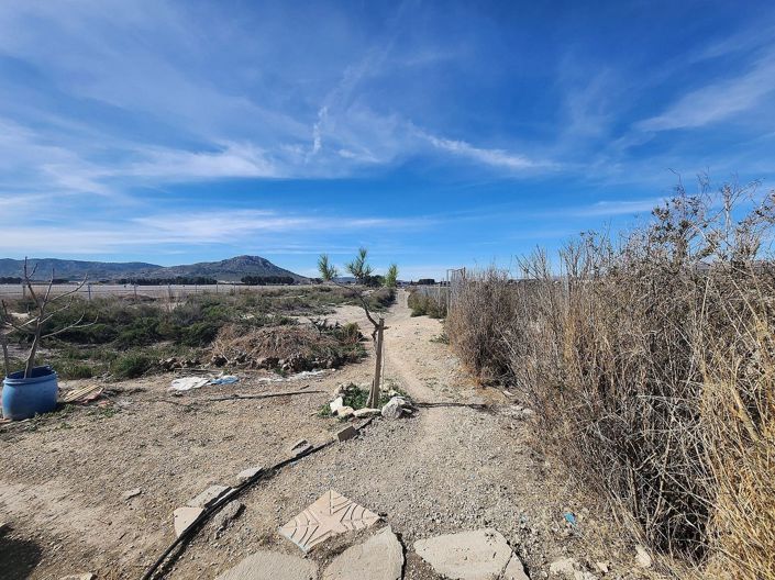 Image No.21-Finca de 2 chambres à vendre à Villena
