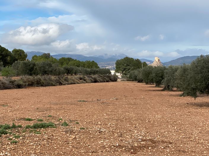 Image No.2-Finca de 2 chambres à vendre à Sax