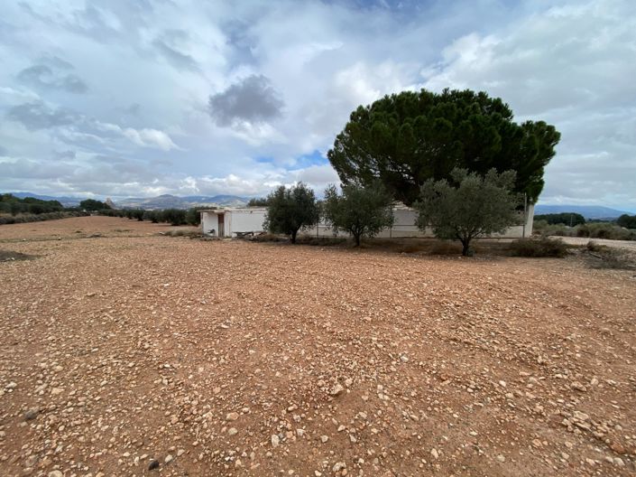 Image No.6-Finca de 2 chambres à vendre à Sax