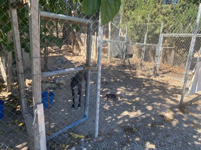Image No.42-Maison de campagne de 3 chambres à vendre à Salinas