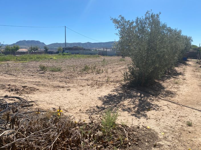Image No.43-Maison de campagne de 3 chambres à vendre à Salinas