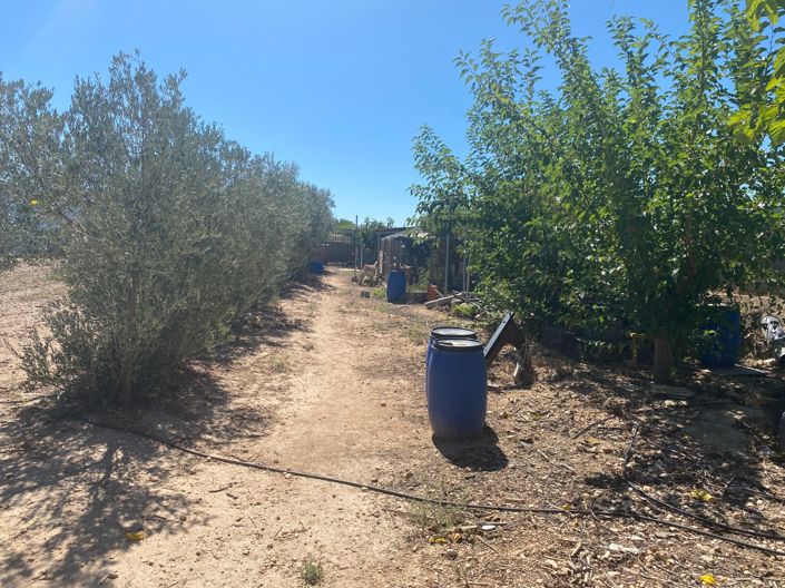 Image No.44-Maison de campagne de 3 chambres à vendre à Salinas