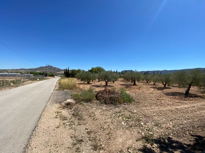 Image No.48-Maison de campagne de 3 chambres à vendre à Salinas