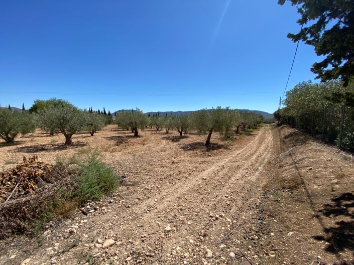 Image No.49-Maison de campagne de 3 chambres à vendre à Salinas