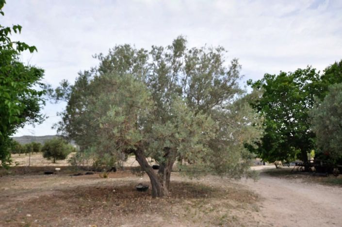 Image No.27-3 Bed Villa for sale