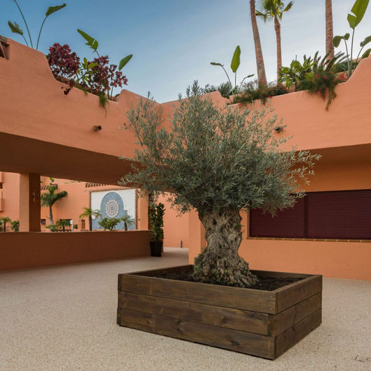 Image No.5-Appartement de 1 chambre à vendre à Estepona