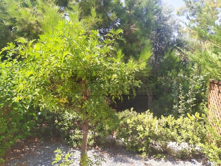 Image No.11-2 Bed Townhouse for sale