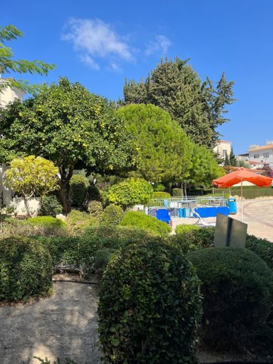 Image No.3-Appartement de 2 chambres à vendre à Universal