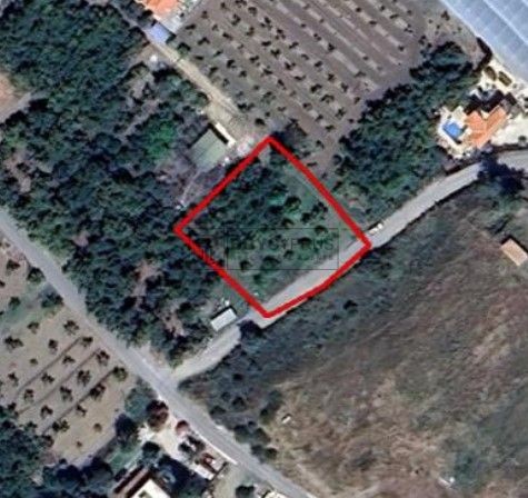 Image No.2-Terre à vendre à Argaka