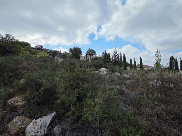 Image No.7-Terre à vendre à Tsada