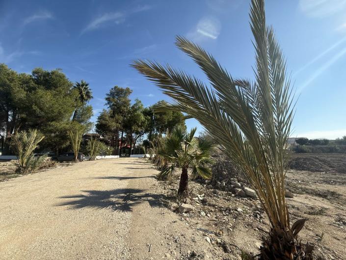 Image No.25-Maison de campagne de 5 chambres à vendre à Orihuela