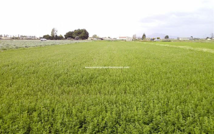 Image No.4-Plot for sale