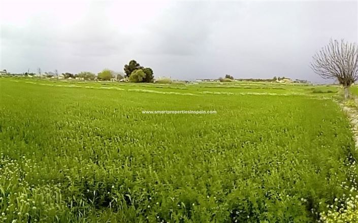 Image No.6-Plot for sale