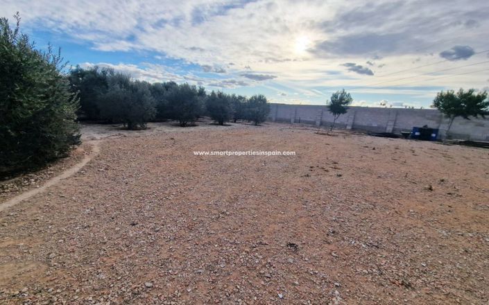 Image No.18-Maison de campagne de 4 chambres à vendre à Elche