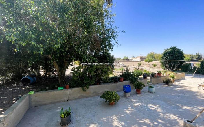 Image No.16-Maison de campagne de 3 chambres à vendre à Elche