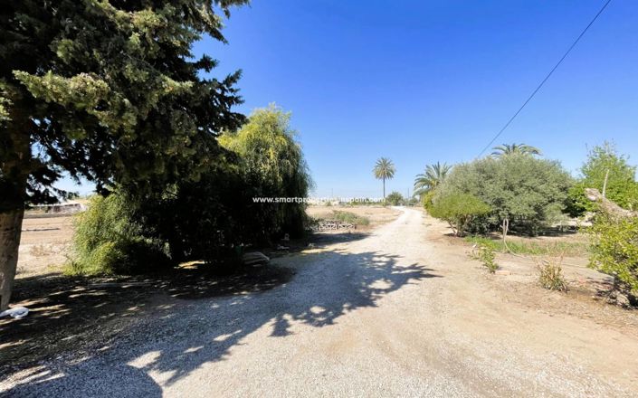 Image No.17-Maison de campagne de 3 chambres à vendre à Elche