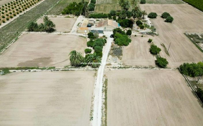 Image No.21-Maison de campagne de 3 chambres à vendre à Elche