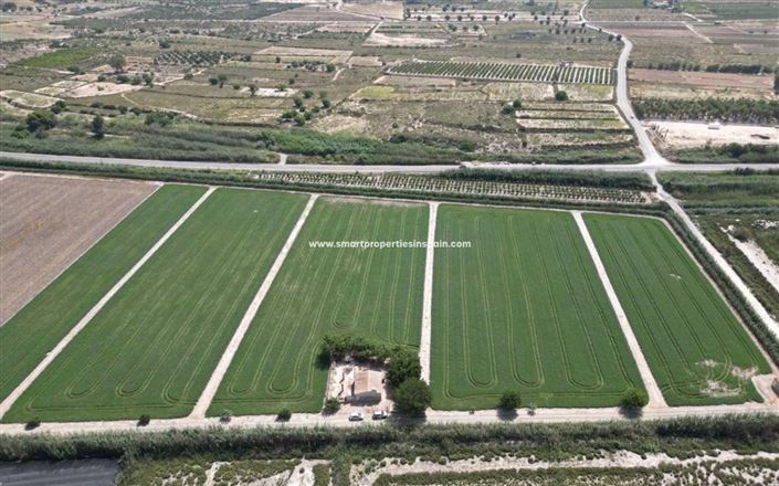 Image No.10-Maison de campagne de 2 chambres à vendre à Elche