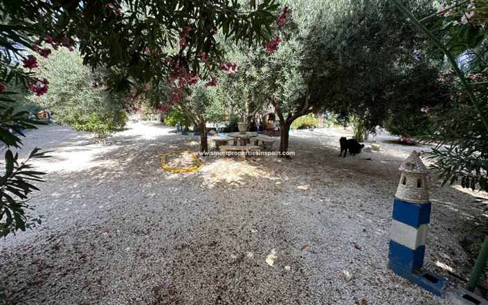 Image No.19-Maison de campagne de 3 chambres à vendre à Crevillente