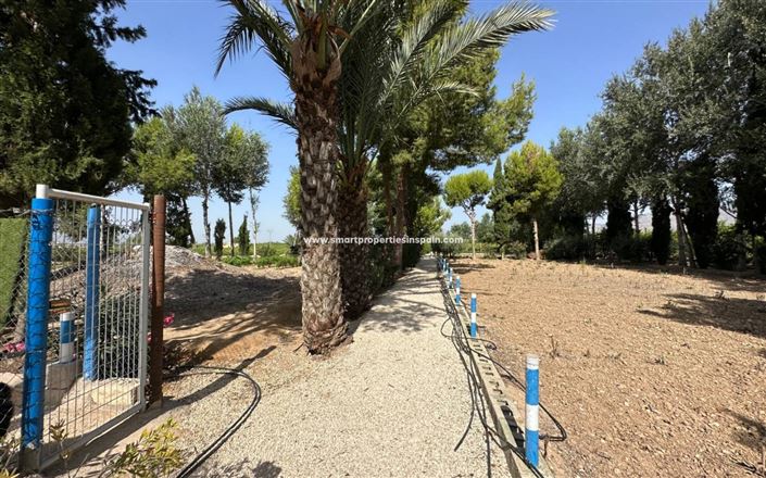 Image No.20-Maison de campagne de 3 chambres à vendre à Crevillente
